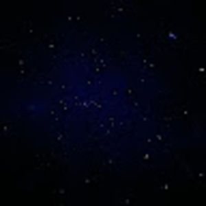 Meet your Posher, Lainey